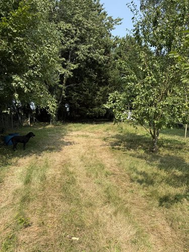 Maison a vendre Busigny 59137 Nord 152 m2 11 pièces 171872 euros