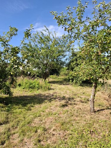 Maison a vendre Camblain-Châtelain 62470 Pas-de-Calais 113 m2 5 pièces 121900 euros