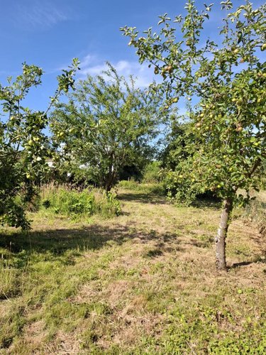 Maison a vendre Camblain-Châtelain 62470 Pas-de-Calais 113 m2 5 pièces 132500 euros
