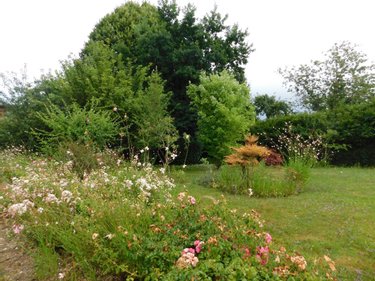 Maison a vendre Montrevel-en-Bresse 01340 Ain 139 m2 5 pièces 235000 euros