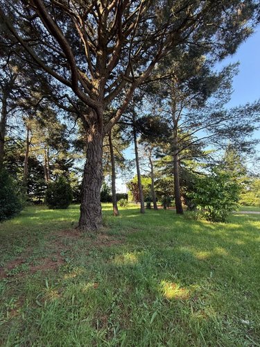 Maison a vendre Savennières 49170 Maine-et-Loire 130 m2 6 pièces 372040 euros
