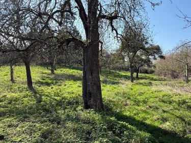 Maison a vendre Lisores 14140 Calvados 258 m2  261000 euros