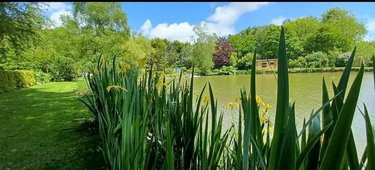 Divers a vendre Crédin 56580 Morbihan 7880 m2  53000 euros
