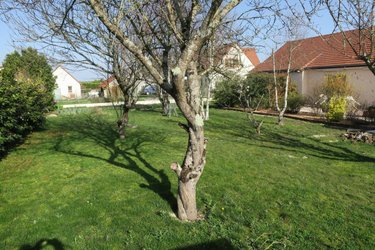Viager maison Saint-Doulchard 18230 Cher 120 m2 5 pièces 75000 euros