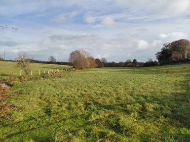 Terrains de loisirs bois etangs a vendre Courgeoût 61560 Orne 469990 m2  540253 euros