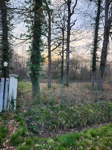 Terrain a batir a vendre La Selle-en-Hermoy 45210 Loiret 2239 m2  44000 euros