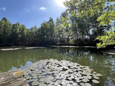 Terrains de loisirs bois etangs a vendre Étouvelles 02000 Aisne 14500 m2  71000 euros