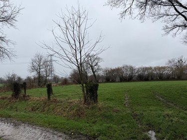Terrains de loisirs bois etangs a vendre Saint-Aubin-des-Bois 14380 Calvados 76778 m2  82715 euros