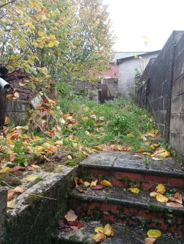 Maison a vendre Wignehies 59212 Nord 50 m2 4 pièces 49000 euros