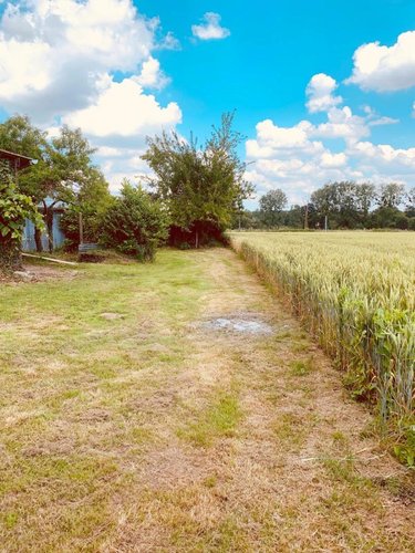 Maison a vendre Médréac 35360 Ille-et-Vilaine 68 m2 4 pièces 141156 euros