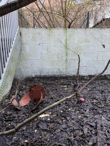 Immeuble a vendre Cambrai 59400 Nord 142 m2  59800 euros