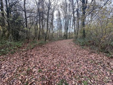 Terrains de loisirs bois etangs a vendre Jarzé-Villages 49140 Maine-et-Loire 75235 m2  83600 euros