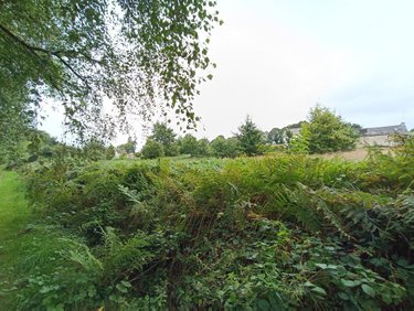 Terrains de loisirs bois etangs a vendre Cléguérec 56480 Morbihan 5229 m2  9700 euros