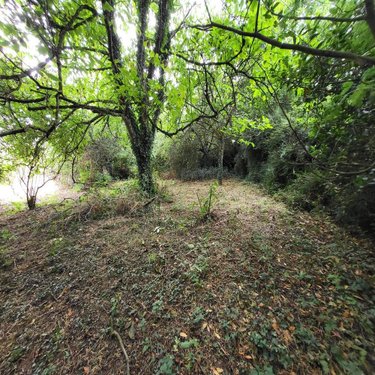 Maison a vendre Landeleau 29530 Finistère 92 m2 6 pièces 74200 euros