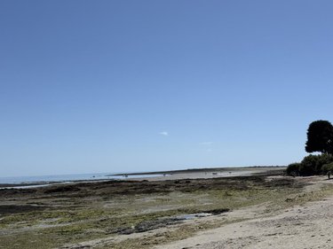 Maison a vendre Sarzeau 56370 Morbihan 183 m2 6 pièces 732000 euros