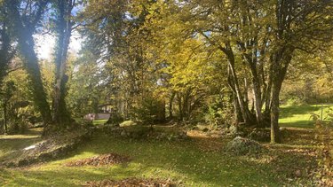 Maison a vendre Charix 01130 Ain 120 m2 5 pièces 368000 euros