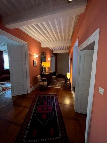 Viager maison Riom 63200 Puy-de-Dôme 320 m2 14 pièces 477750 euros