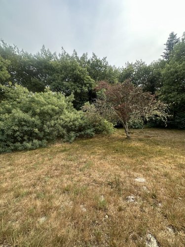 Maison a vendre Aureilhan 40200 Landes 100 m2 4 pièces 230560 euros