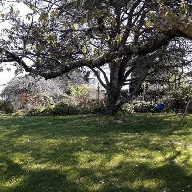 Maison a vendre Paimpol 22500 Côtes-d'Armor 172 m2 7 pièces 364050 euros