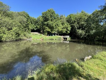Terrains de loisirs bois etangs a vendre Noues de Sienne 14380 Calvados 185705 m2  399000 euros