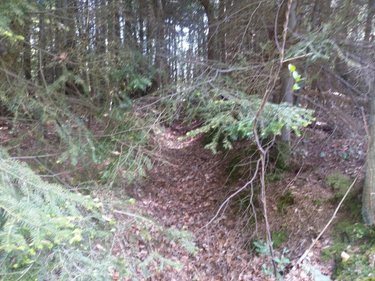 Terrains de loisirs bois etangs a vendre La Folletière-Abenon 14290 Calvados 3994 m2  6500 euros