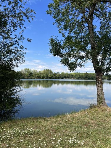 Maison a vendre Loir en Vallée 72340 Sarthe 533 m2 17 pièces 650000 euros