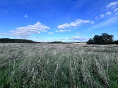Maison a vendre Veuzain-sur-Loire 41150 Loir-et-Cher 280 m2 8 pièces 315000 euros