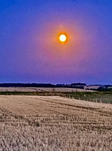 Maison a vendre Chezelles 37220 Indre-et-Loire 141 m2 5 pièces 169600 euros