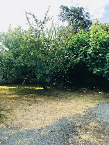 Maison a vendre Tonnay-Charente 17430 Charente-Maritime 140 m2  272480 euros