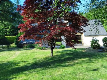 Maison a vendre Plélauff 22570 Côtes-d'Armor 97 m2 4 pièces 239500 euros