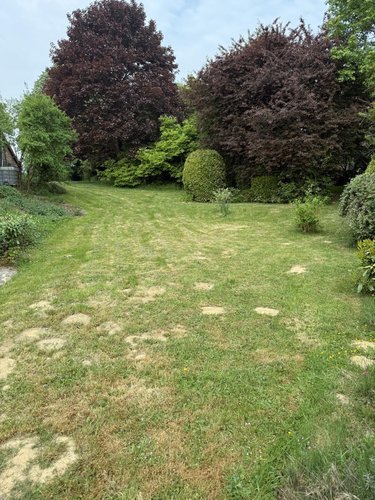 Maison a vendre Montigny-en-Cambrésis 59225 Nord 219 m2 9 pièces 303920 euros