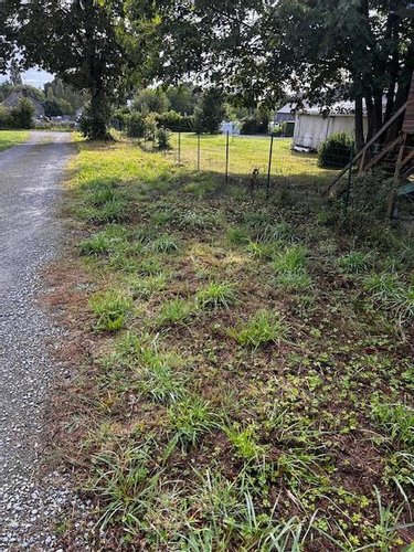 Terrain a batir a vendre Réminiac 56140 Morbihan 1469 m2  20000 euros