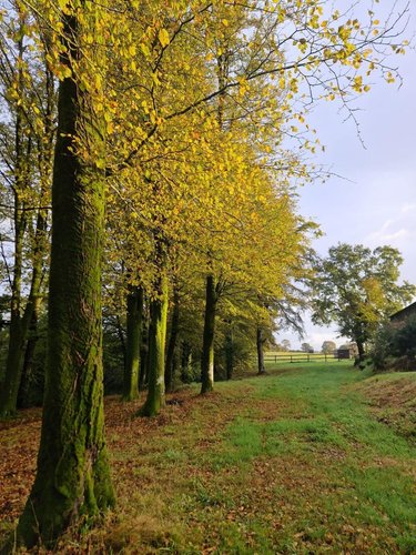 Maison a vendre Kernascléden 56540 Morbihan 147 m2 5 pièces 701410 euros