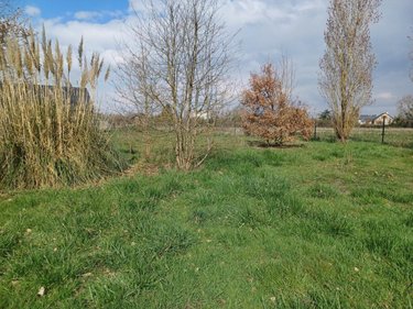 Maison a vendre Louans 37320 Indre-et-Loire 56 m2 3 pièces 126800 euros