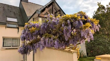 Maison a vendre Rennes 35000 Ille-et-Vilaine 190 m2 8 pièces 882000 euros