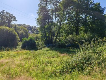 Terrains de loisirs bois etangs a vendre Pleyber-Christ 29410 Finistère 2080 m2  13000 euros