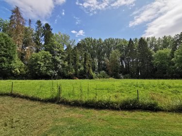 Maison a vendre Lesdain 59258 Nord 310 m2 9 pièces 1300000 euros