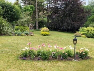 Maison a vendre Plougoulm 29250 Finistère 157 m2 7 pièces 312600 euros