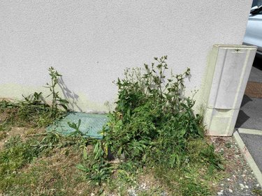 Terrain a batir a vendre Potigny 14420 Calvados 921 m2  99000 euros