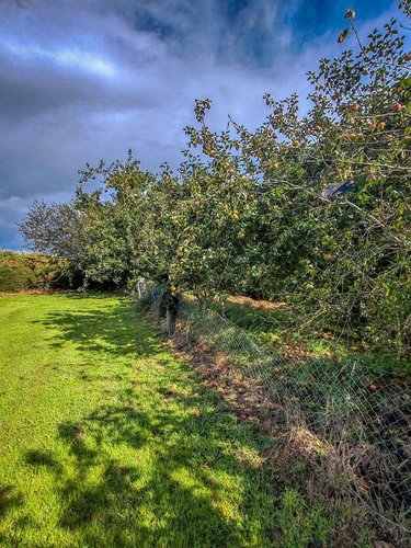 Maison a vendre Pleyber-Christ 29410 Finistère 100 m2  163370 euros