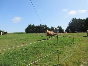 Maison a vendre Moréac 56500 Morbihan 188 m2 6 pièces 265620 euros