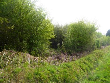 Maison a vendre Ploërdut 56160 Morbihan 100 m2 2 pièces 49550 euros
