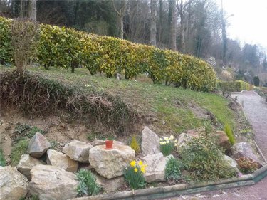 Maison a vendre Saint Martin de Bienfaite la Cressonnière 14290 Calvados 250 m2 11 pièces 344190 euros