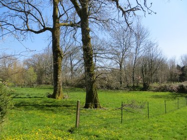 Maison a vendre Mesnil-Clinchamps 14380 Calvados 200 m2 7 pièces 263700 euros
