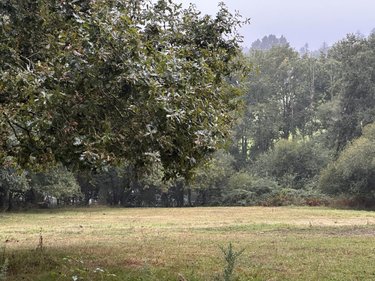 Maison a vendre Theix-Noyalo 56450 Morbihan 112 m2 6 pièces 394143 euros