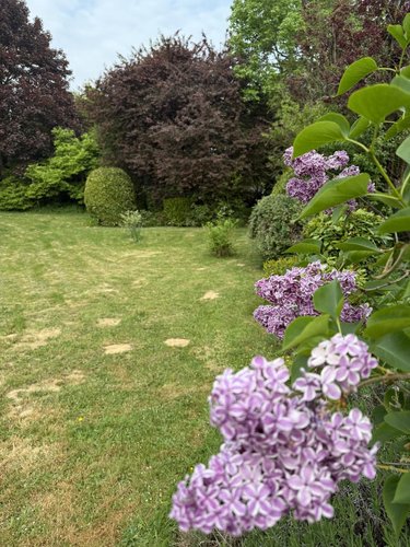 Maison a vendre Montigny-en-Cambrésis 59225 Nord 219 m2 9 pièces 303920 euros