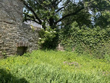 Maison a vendre Vannes 56000 Morbihan 70 m2 3 pièces 354500 euros