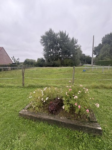Terrain a batir a vendre Capelle-Fermont 62690 Pas-de-Calais 1600 m2  53000 euros