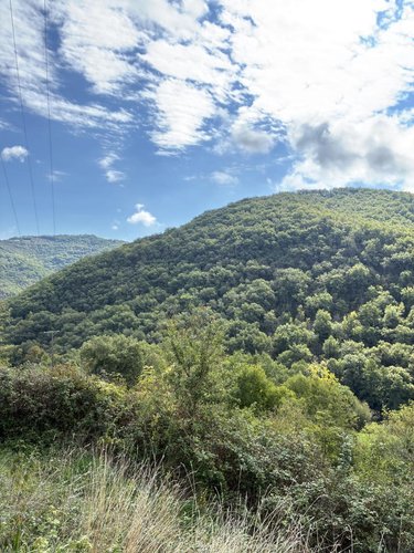 Maison a vendre Saint-Izaire 12480 Aveyron 98 m2 4 pièces 124900 euros