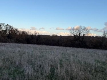 Terrains de loisirs bois etangs a vendre Saint-Germain-d'Aunay 61470 Orne 66140 m2  84200 euros